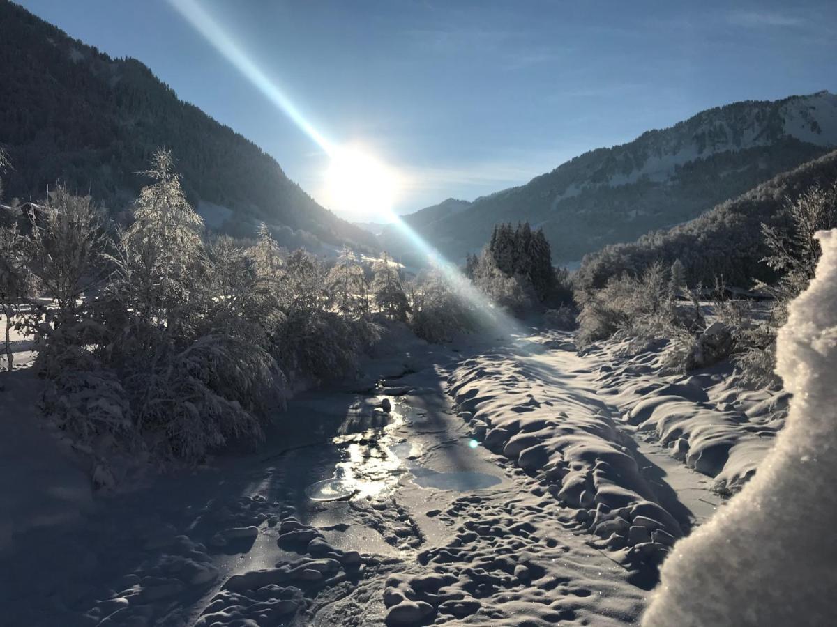 Ferienwohnungen Lingg Schoppernau Dış mekan fotoğraf